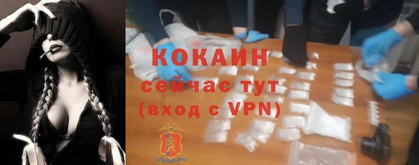 индика Покровск