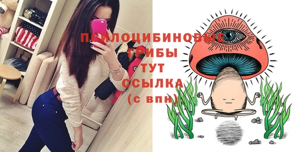 соль курить ск Арсеньев